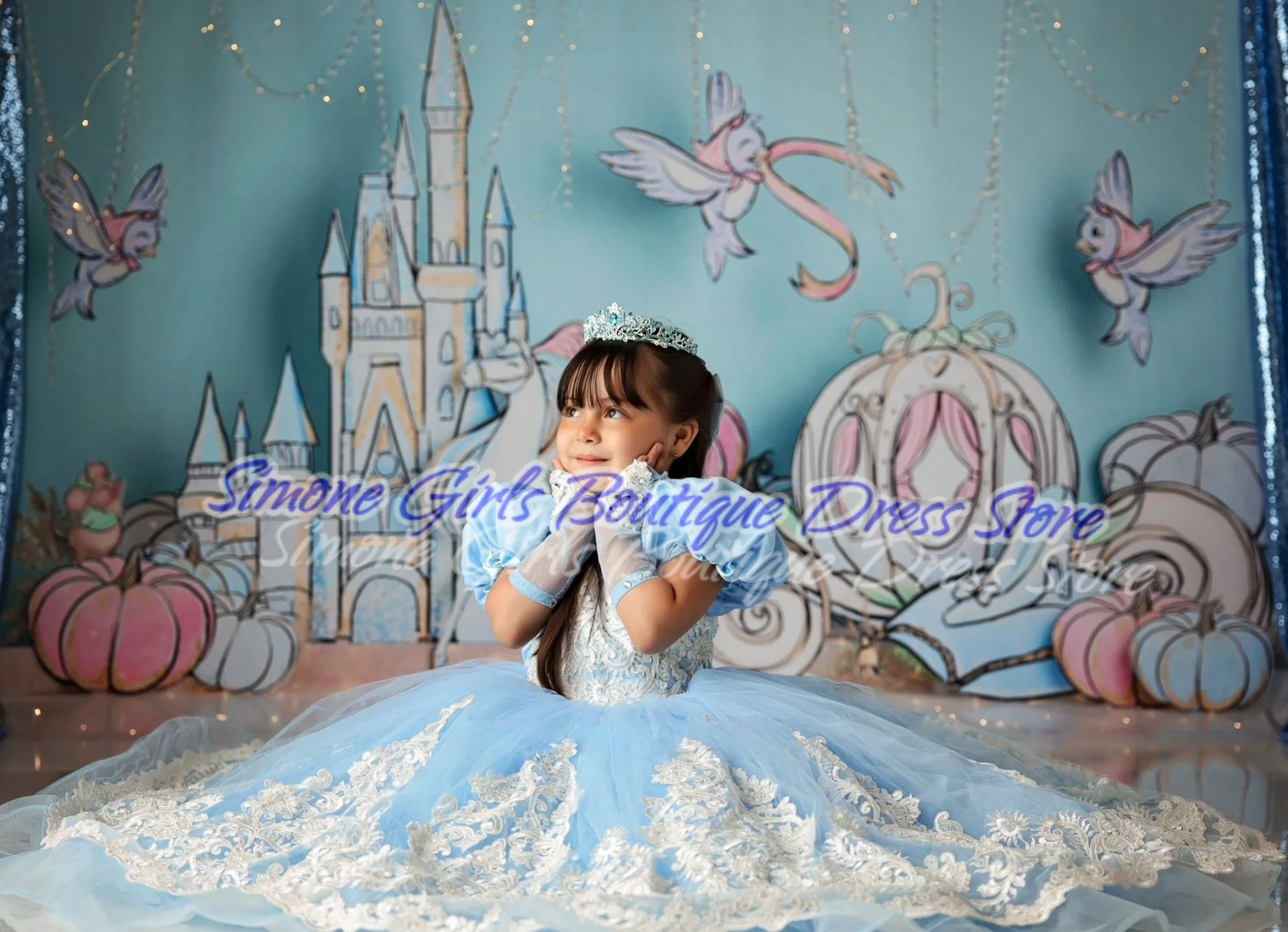 Embroidery Fluffy Puff sleeves Blue princess dress Flower Girl Dress for Birthday party Formal Receptions Dance Performances