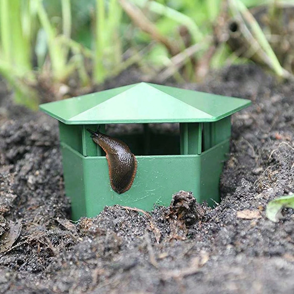 Plastic Cage Snail Trap Catcher Garden Slug Cage Reusable Pests Bait Station Tools Garden Farm Protector Tools Garden Accessorie