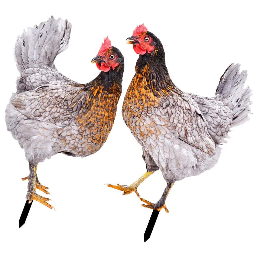 

2Pcs Garden Sign Yard Chicken Acrylic Stakes Outdoor Lawn Decoration Yard Ornament Chicken Stake Sign Garden Adornment