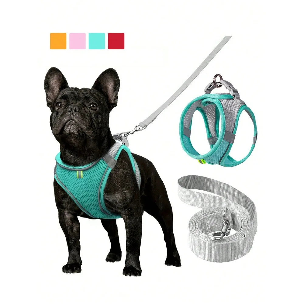 

1 Set Reflective Cat/Dog Leash & Harness - Breathable Mesh Vest With Padded Nylon Leash, Suitable For Small To Medium Dogs; Pet Collar - Anti-Choke Design With Dual D-Rings