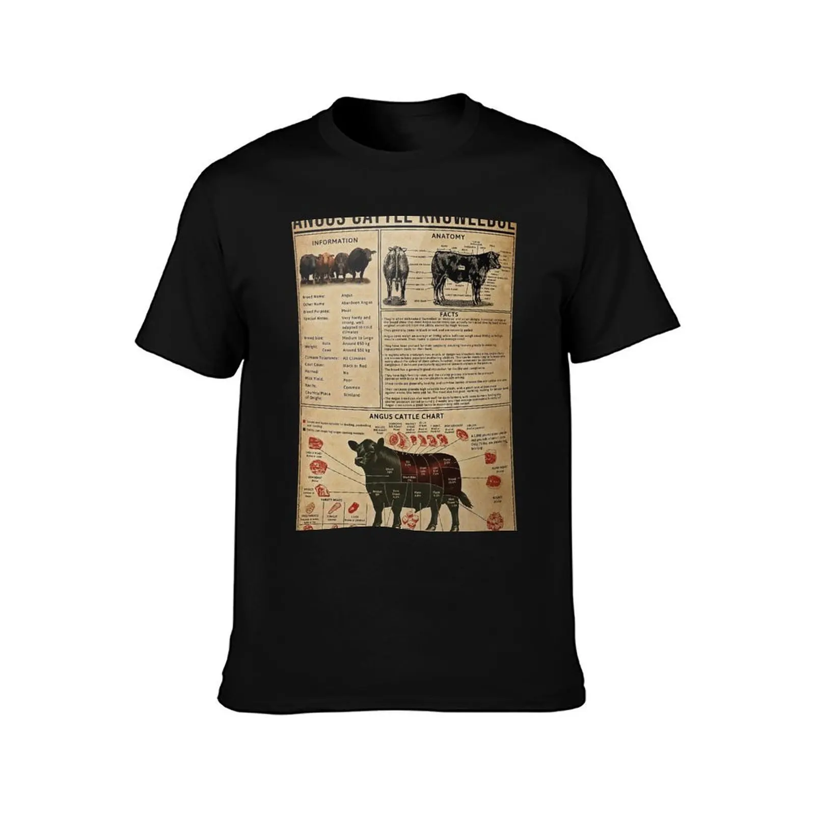 Angus Cattle Knowledge Poster T-Shirt Athletic Quick Dry for Men T-Shirt