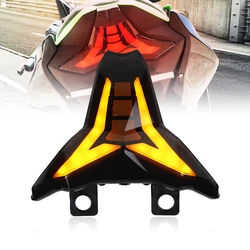 LED Tail Lights Turn Signals Light for Kawasaki Ninja 400 2018-2024 /Z400/Z1000/ZX-6R 2013-2024 Brake Taillights Accessories