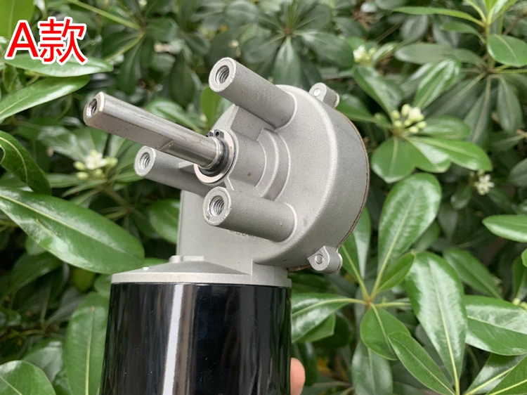 High-power worm gear DC deceleration motor DC24V52-turn high-torque self-locking forward and reverse deceleration motor