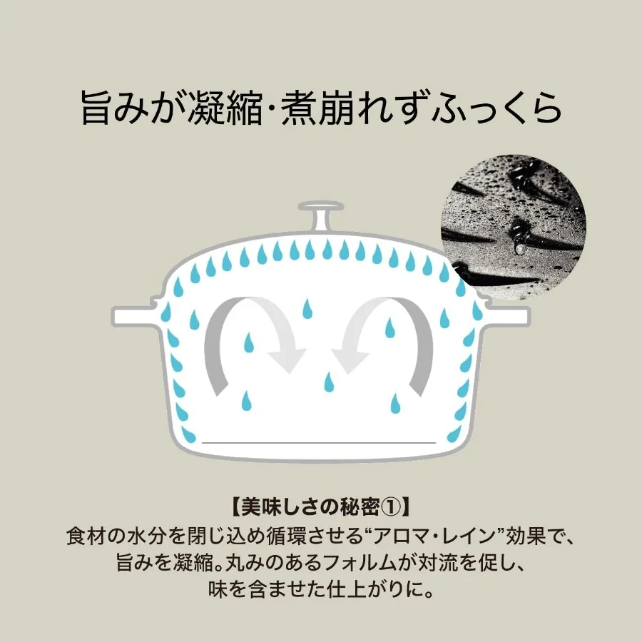 Gray M 7.1 inches (18 cm) Two-Handed Cast Iron Pot, Cooking, 2 Pieces, Induction Compatible