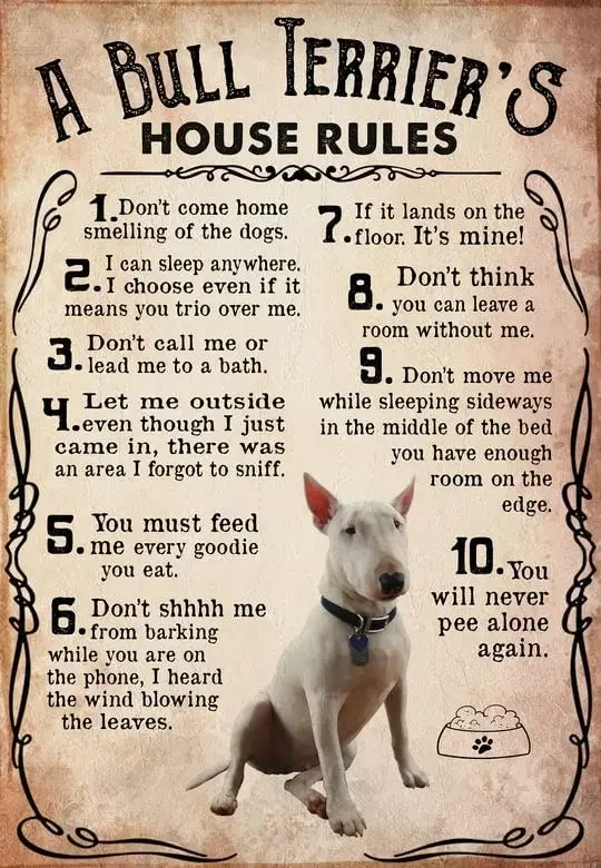 

Easter Decor Tin Sign A Bull Terrier 's House Rules for Lovers for Bars Club Cafes Pubs Wall Art Mothers Day Metal Signs