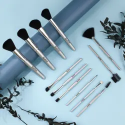 VANDER New Sliver 12 Pcs High Quality Makeup Brushes Set  Beauty Cosmetic Foundation Eyeshadow Blending Cosmetic Brushes