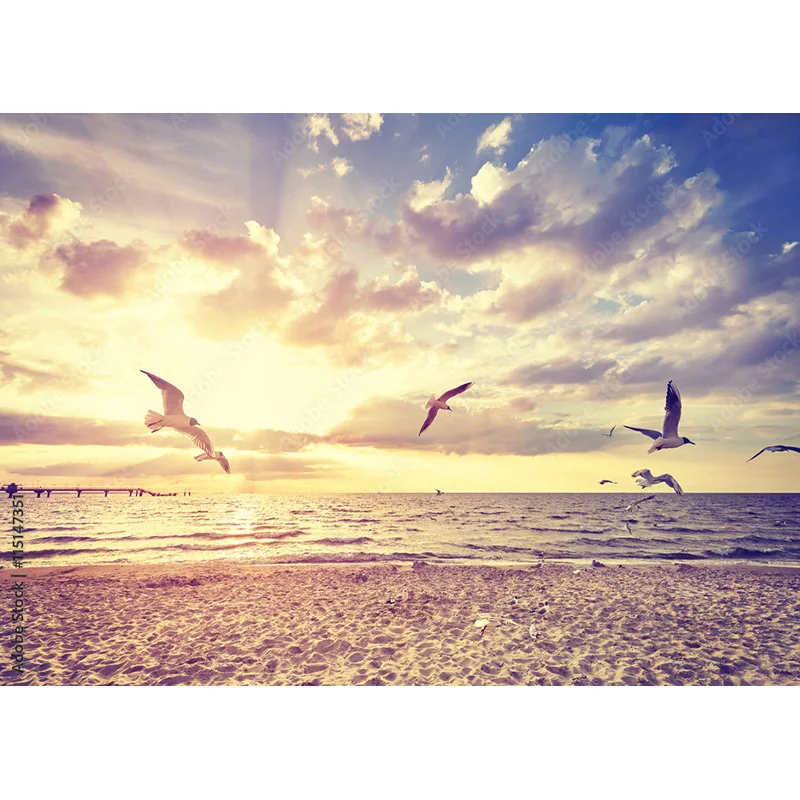 Tropical Sea Beach Palms Tree Photography Background Natural Scenic Photo Backdrops Photocall Photo Studio HHB 08