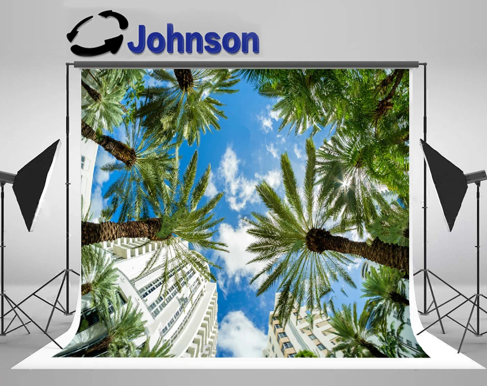 

JOHNSON Miami Beach Cityscape Palm Trees Sky Clouds backgrounds High quality Computer print wedding backdrops