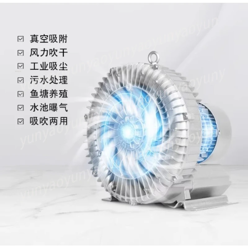 Industrial High Pressure Vacuum Air Pump Vortex Ring Regenerative Side Channel Blower for Fish Pond Aquaculture Farming view 4