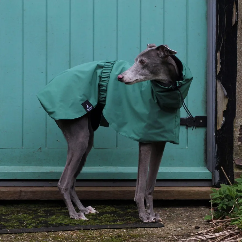 

Waterproof Windproof Dog Rain Jacket, Breathable Full-Body Coverage Dry Suit, Pet Rain Coat Poncho For Whippet Greyhound