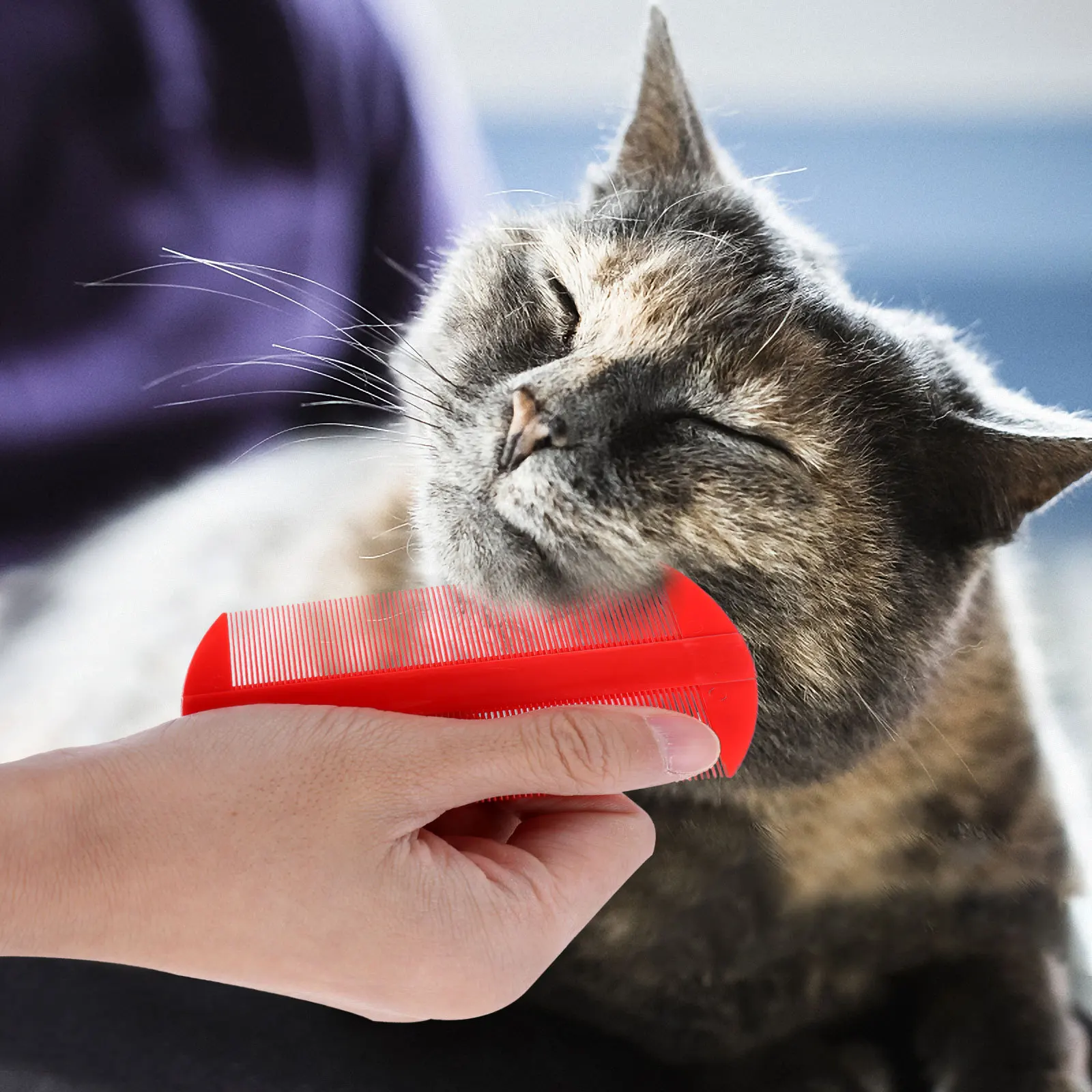 

12Pcs Anti Static Comb Double Edged Fine Toothed for Nits Removal Wet Dry Use 106x56cm Plastic Fine-Toothed Comb