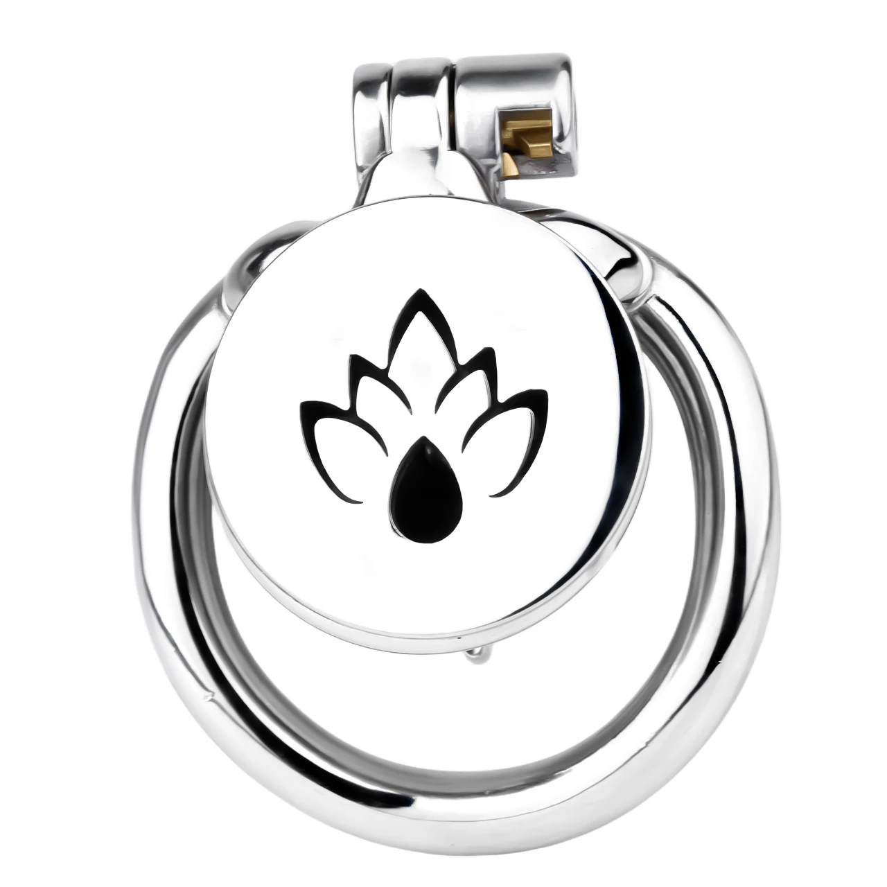 FRRK 4mm PA Piercing Chastity Cage With Silicone New Strap SM Sex Toy Sadism Inverted Lockcock Device CBT Adult Penis Ring 5