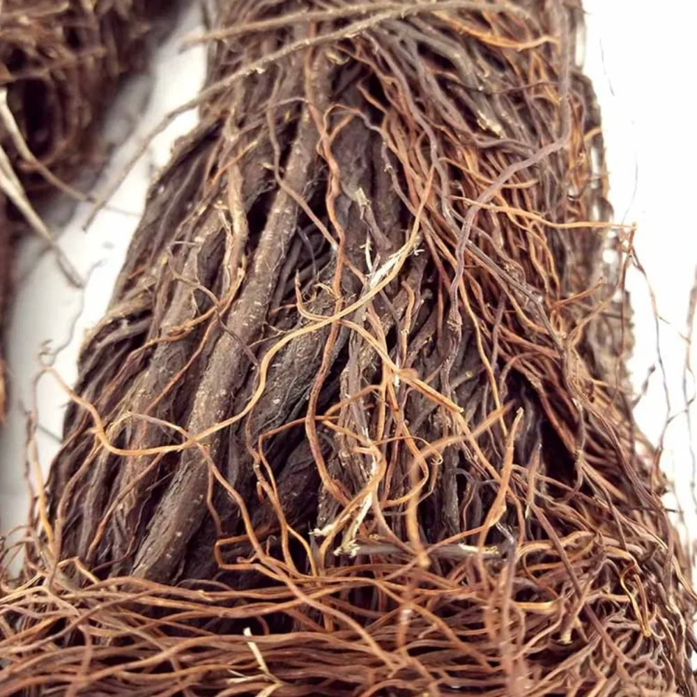 Bois flotté d'aquarium en bois naturel, style forêt tropicale mince, vigne à la racine fine