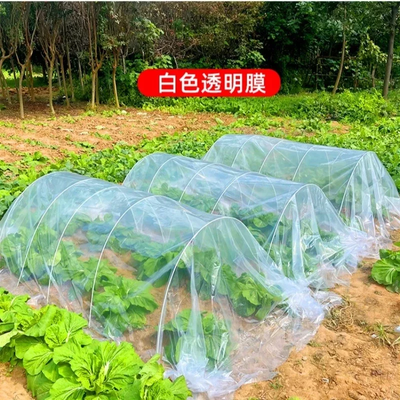 Vegetable Seedling Special Cold Resistant Film Agricultural Small Arch Greenhouse Films Transparent Plastic Film Dust Waterproof