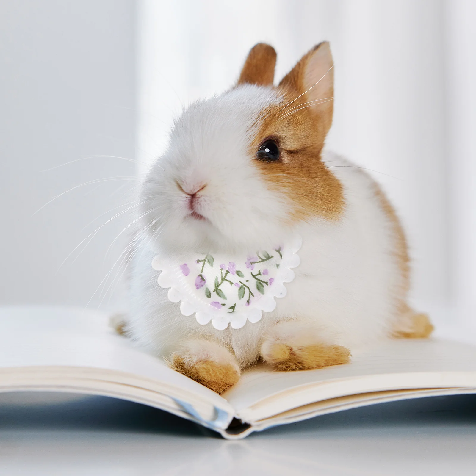 

4Pcs Christmas Pet Bibs Bandanas Small Animal Breakaway Neck Scarf Adjustable Drool Towel for Parrot Hamster Guinea Pig Festive