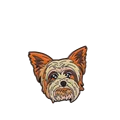 A3