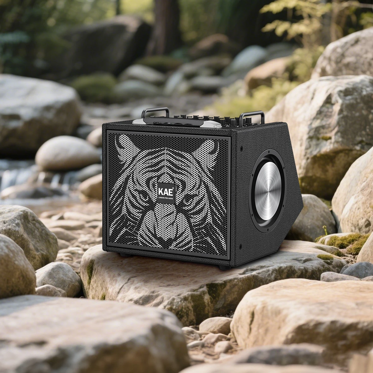 

Открытый концертный сцена Dj деревянная звуковая коробка система профессиональный активный динамик 15-дюймовый для концертной сцены караоке