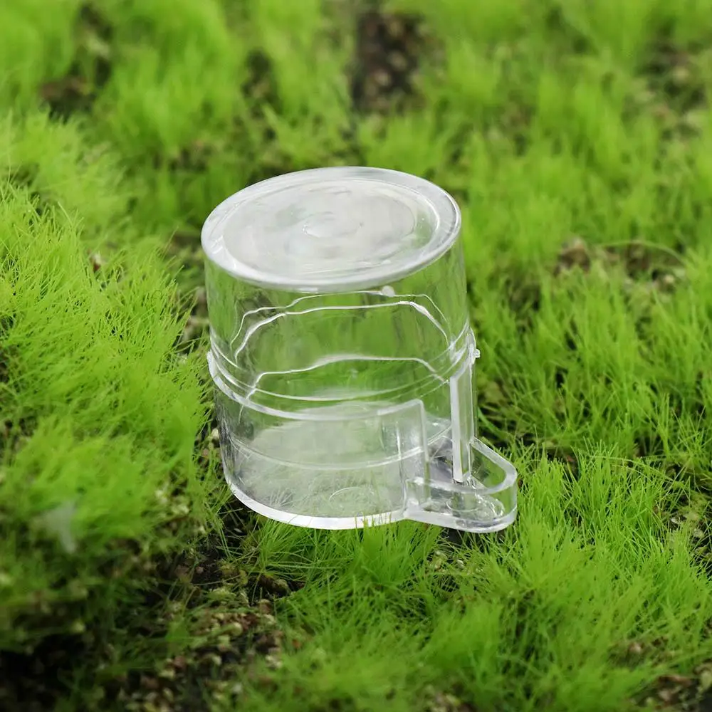 Portable Mini Round Transparent Durable Acrylic Ant Nest House Ant Water Dispenser Ant Feeder Reptile Drinking Bowl