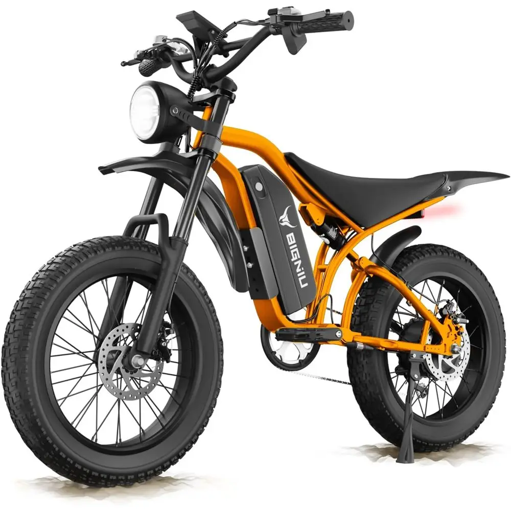 

Electric Bike, Ebikes or Adults with Peak 1200W Motor, 20" at Tire, 48V 15A Battery, 7-Speed, Dual Disc Brakes E Bike or O-Road