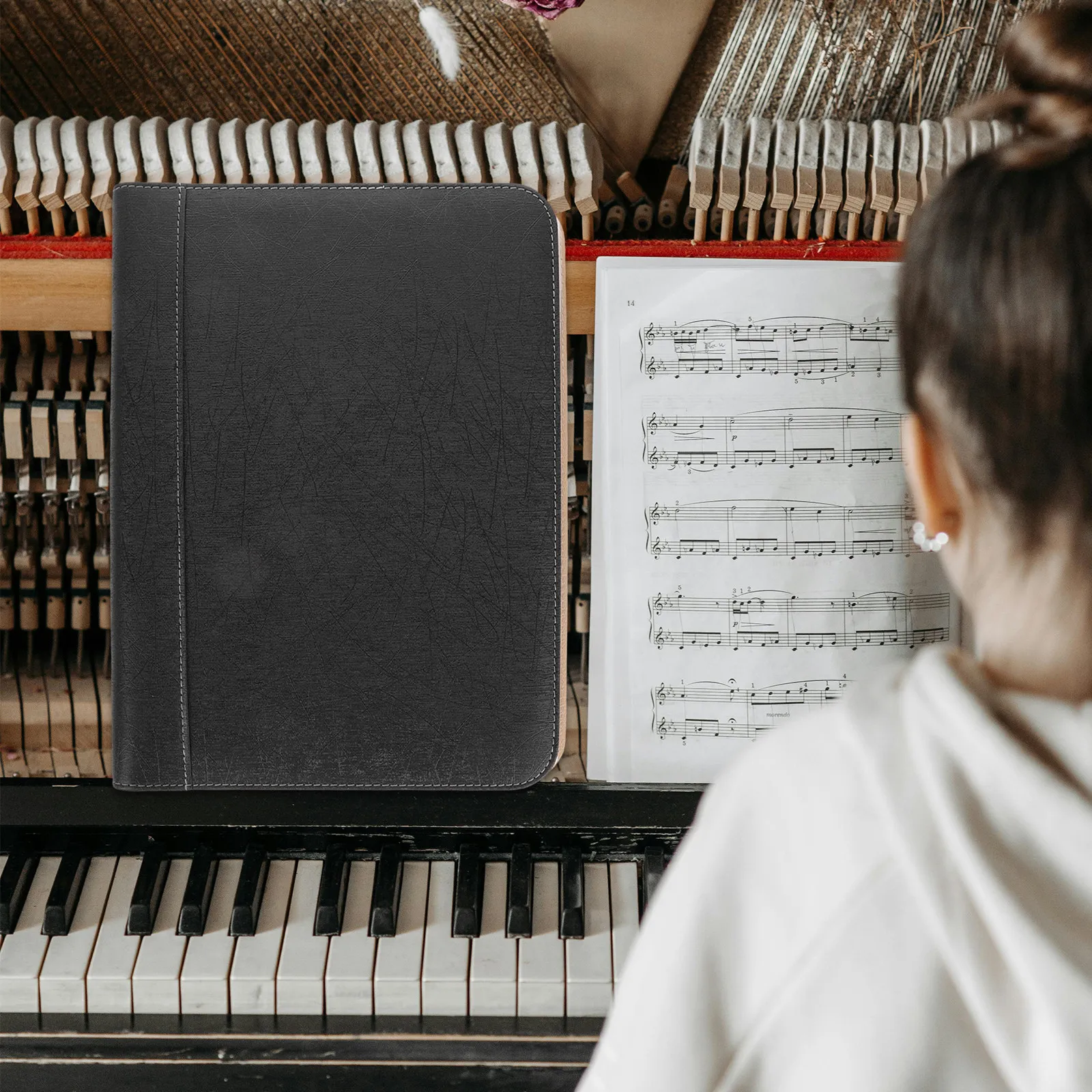 carpeta-para-partituras-a4-organizador-de-documentos-carpeta-transparente-portatil-para-oficina-escuela-presentaciones-musicales-almacenamiento-de-archivos-escritorio