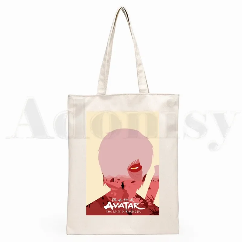 Avatar The Last Airbender Aang Appa Anime Badass New Art Canvas Bag Totes Simple Print Shopping Bags Girls Life Casual Pacakge