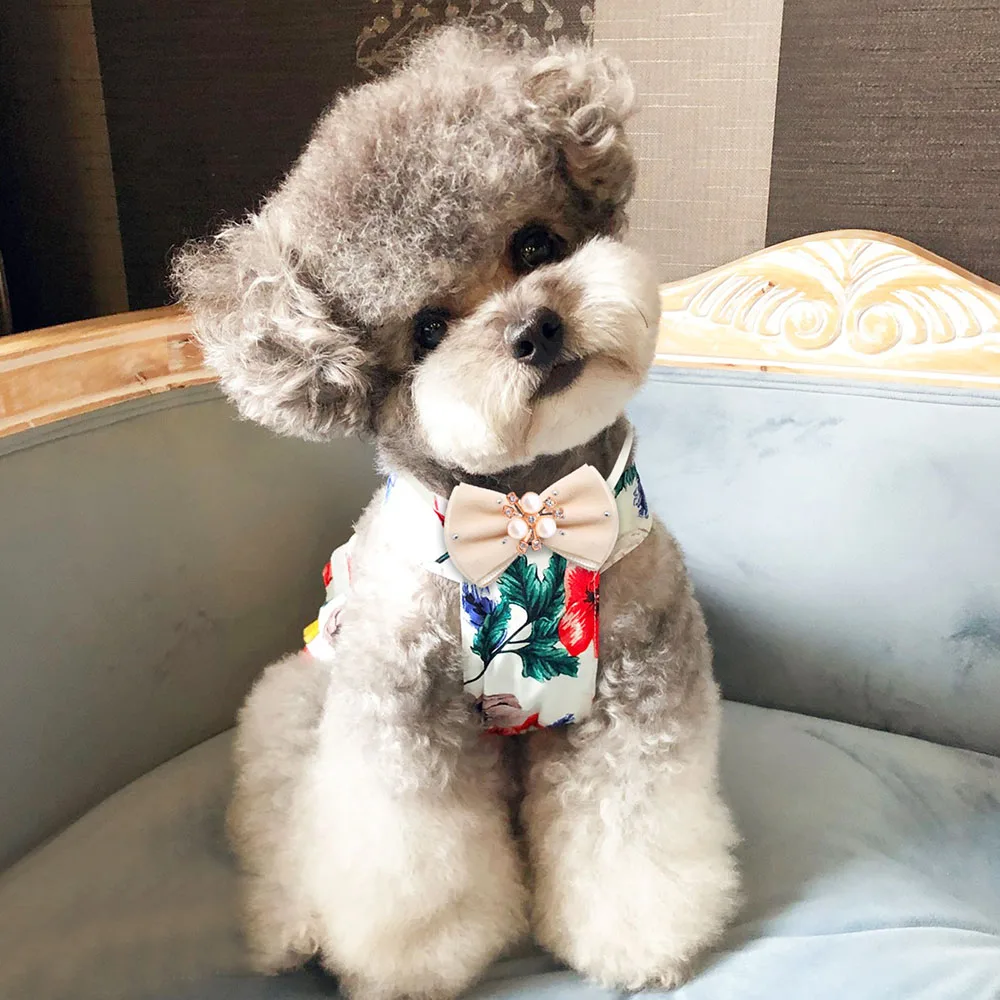 Thumbnail 3 - #15 Ranked Adjustable Pet Collars Picks in 2026