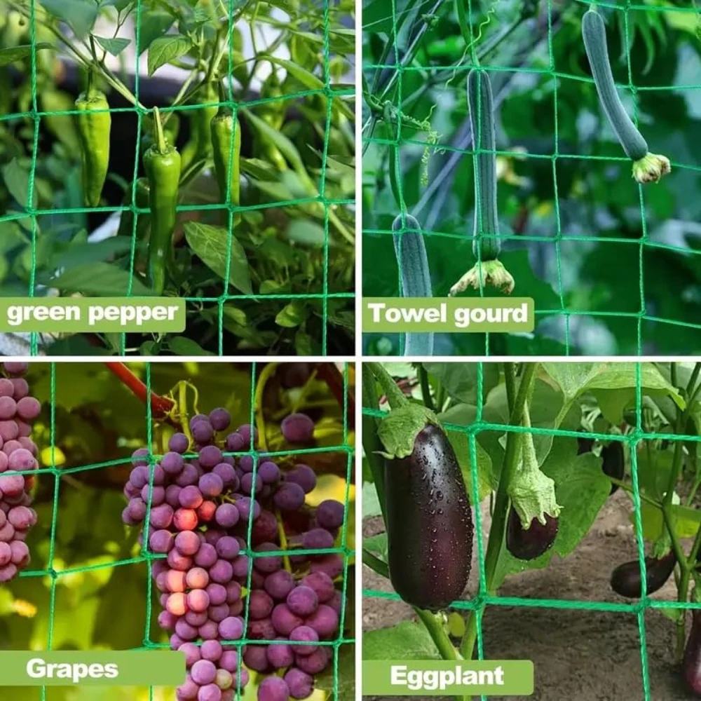Garden Plant Climbing Net for Tomato Fruits Vegetables Grapes Nylon Trellis Netting Planting Supplies Gardening Accessories