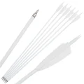 6pcs Spine500 White