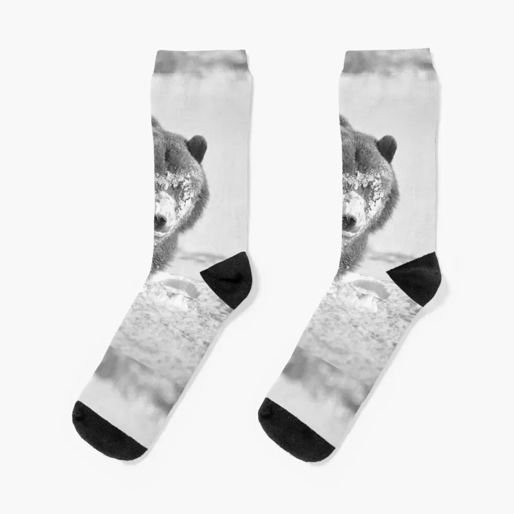 

Alaskan Grizzly Bear in Snow - 3, B & W Socks kawaii happy soccer anti-slip moving stockings Socks Women Men's