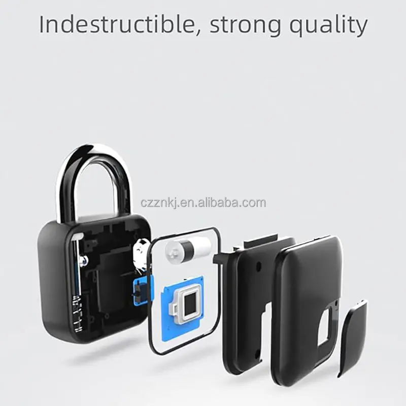 Chenzhuo Smart Fingerprint Lock Zinc Alloy USB Rechargeable WiFi Anti-Theft Security Keyless Entry 10 Prints for Home