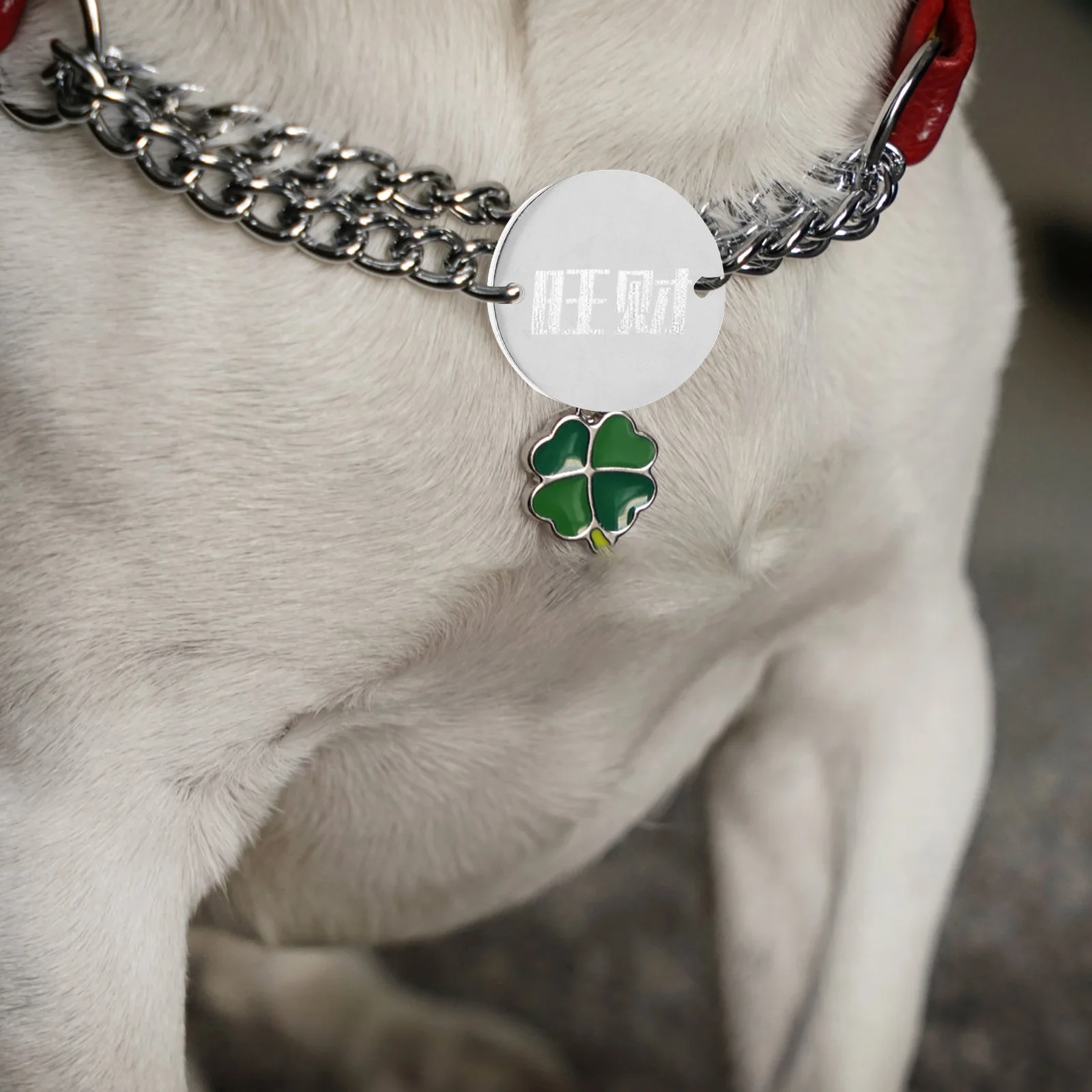 

6 шт. круглые пустые бирки из нержавеющей стали, прочный металлический идентификационный бирка для домашних животных для гравировки, именная табличка для щенка, ювелирный кулон «сделай сам»