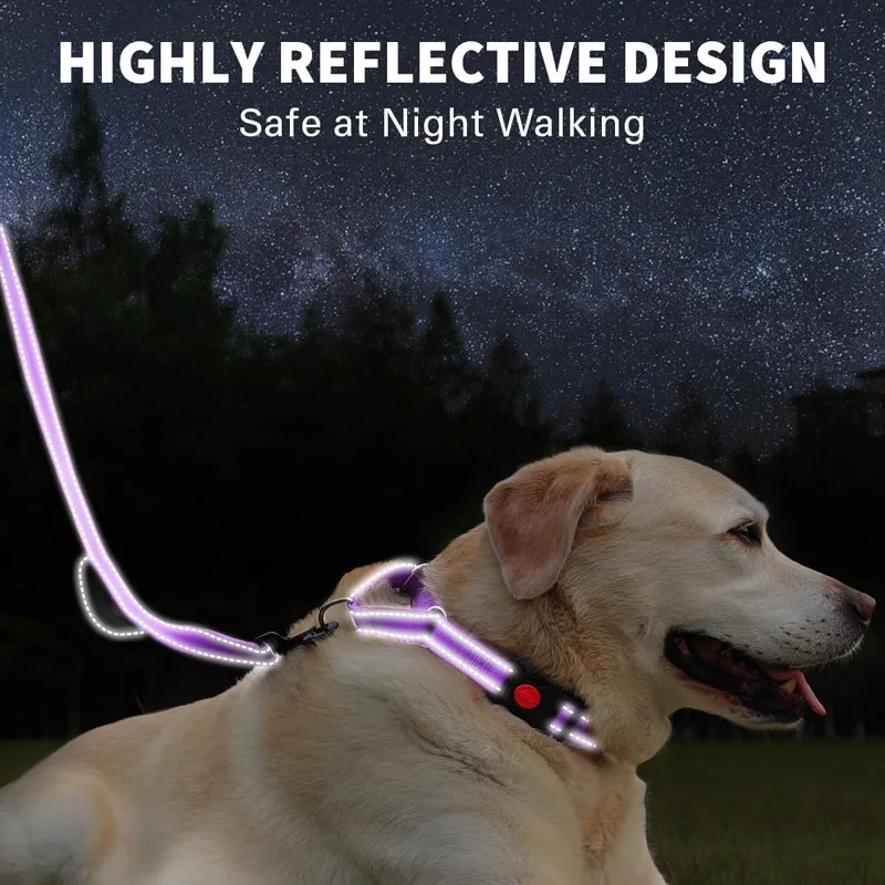 

Double Dog Leash Multi-Function Adjustable Dog Lead Hand Free Pet Training Leash Reflective for Small to Large