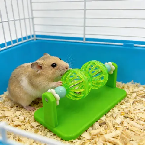 1PC Hamster Toy Rotating Bell Ball for Syrian Dwarf Hamster Boredom Relief Interactive Play Cage Enrichment Climbing Accessory