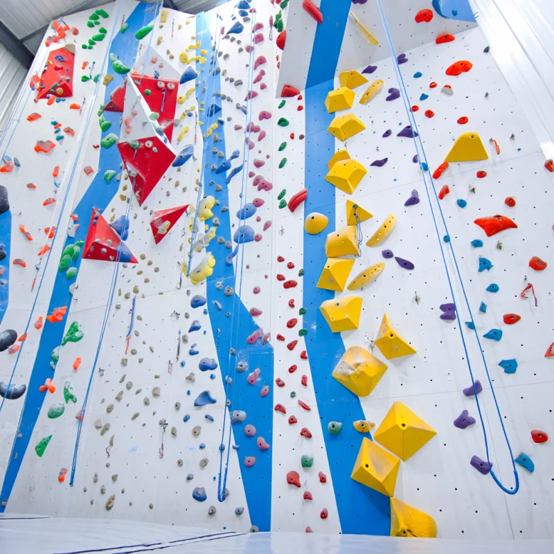 Wielofunkcyjna ściana wspinacz – Kids Outdoor Climbing Wall recenzja i cena