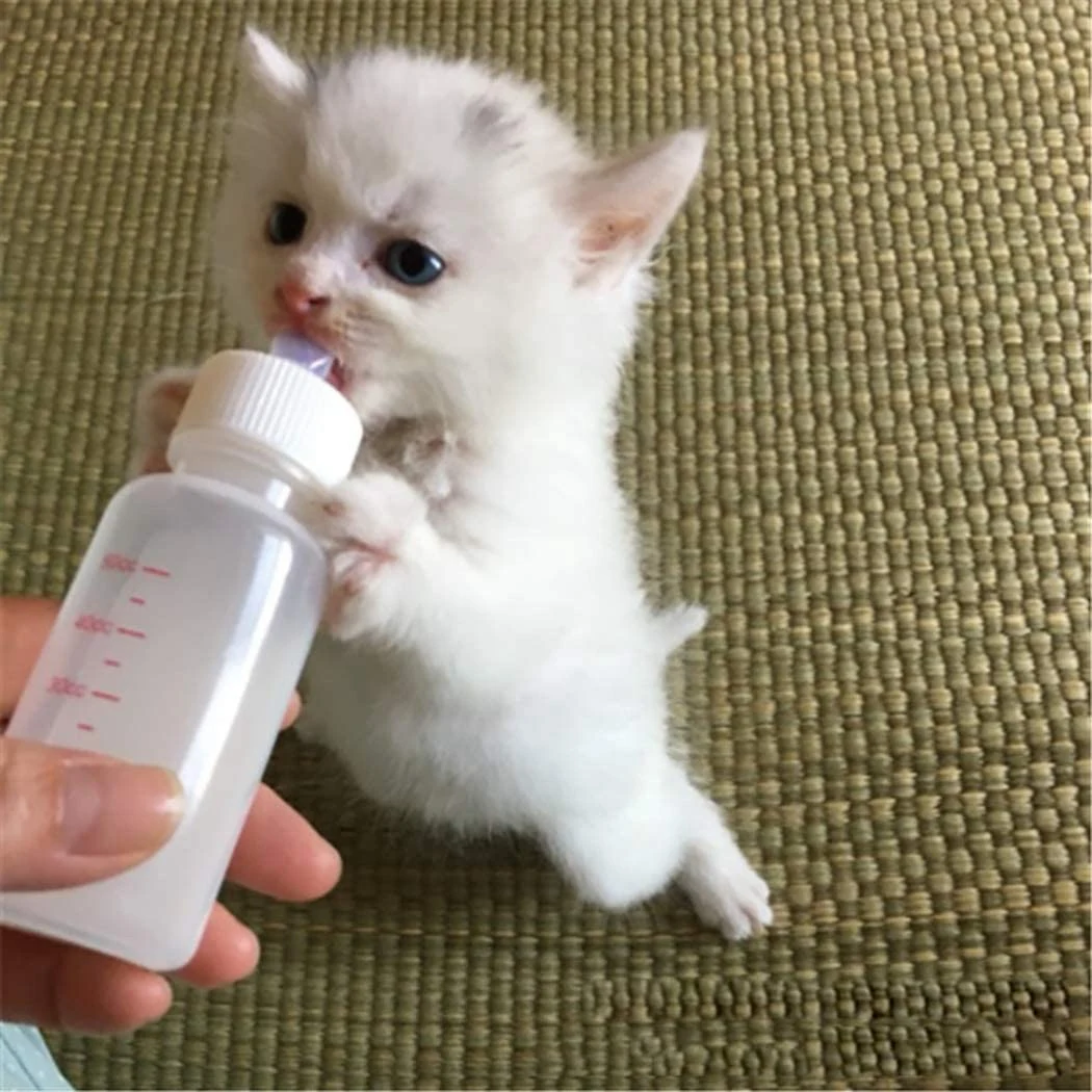 [A93Z!】 Pet Nursing Bottle Kits Replacement Nipple Cat Feeding Bottle For Newborn Kittens, Puppies, Rabbits, Small Animals