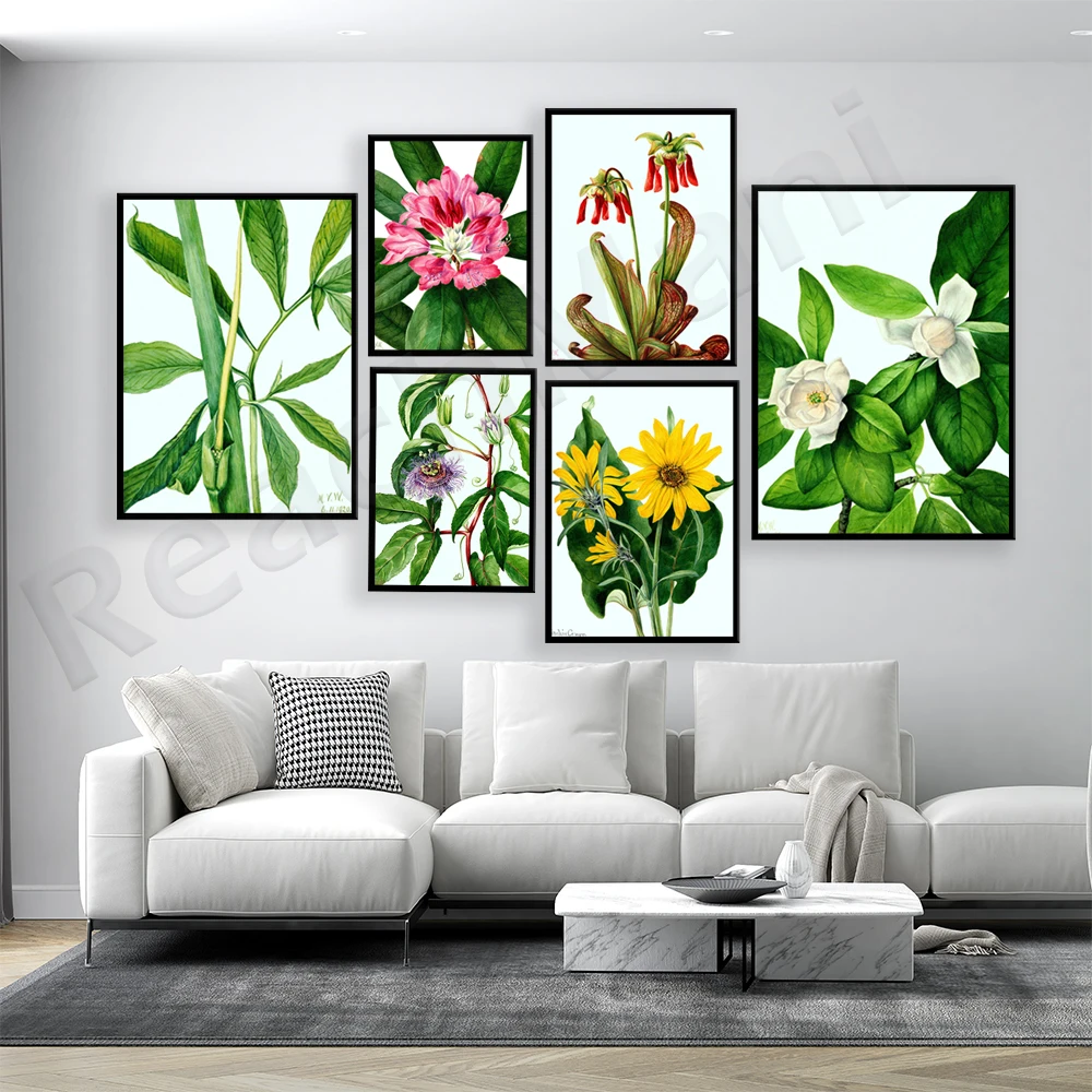 

Mary Vaux Walcott Museum exhibition poster, Walcott Group floral murals, wildflowers and botanical watercolors