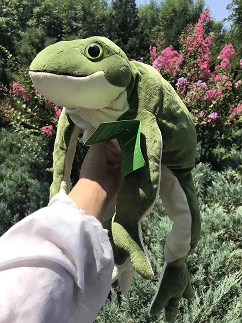 Bonito presente de aniversário menina sapo verde brinquedo de pelúcia grande macio dormir travesseiro sapo boneca decoração 22.8 polegada 58cm dy10295