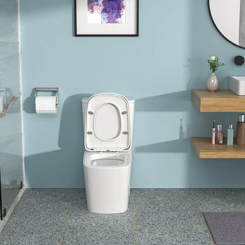 

Ceramic One-Piece Toilet, Dual Flush Feature, Soft-Close Seat, Eco-Friendly Water Saving Design, Modern Style Bathroom Fixture