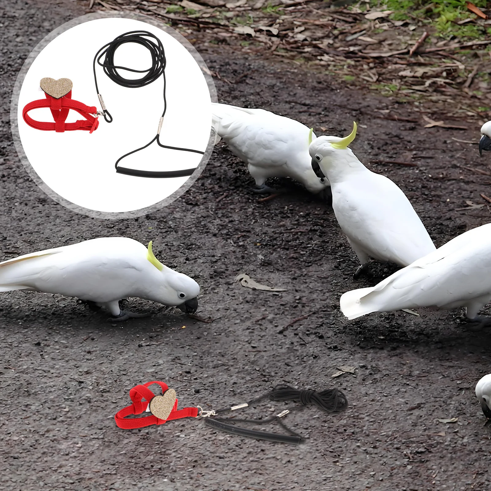 

Bird Harness Leash Adjustable Parrot Outdoor Training Flying Rope for Parakeet Cockatoo Dove Walking Use Bird Harness and Leash