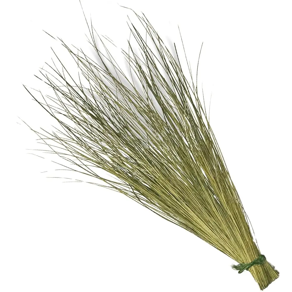 

Authentic Beach Grass Bundle, 30 Hes Tall, 3.45 Ounces, Natural, Preserved, Dried Coastal Decor For Wedding And Home