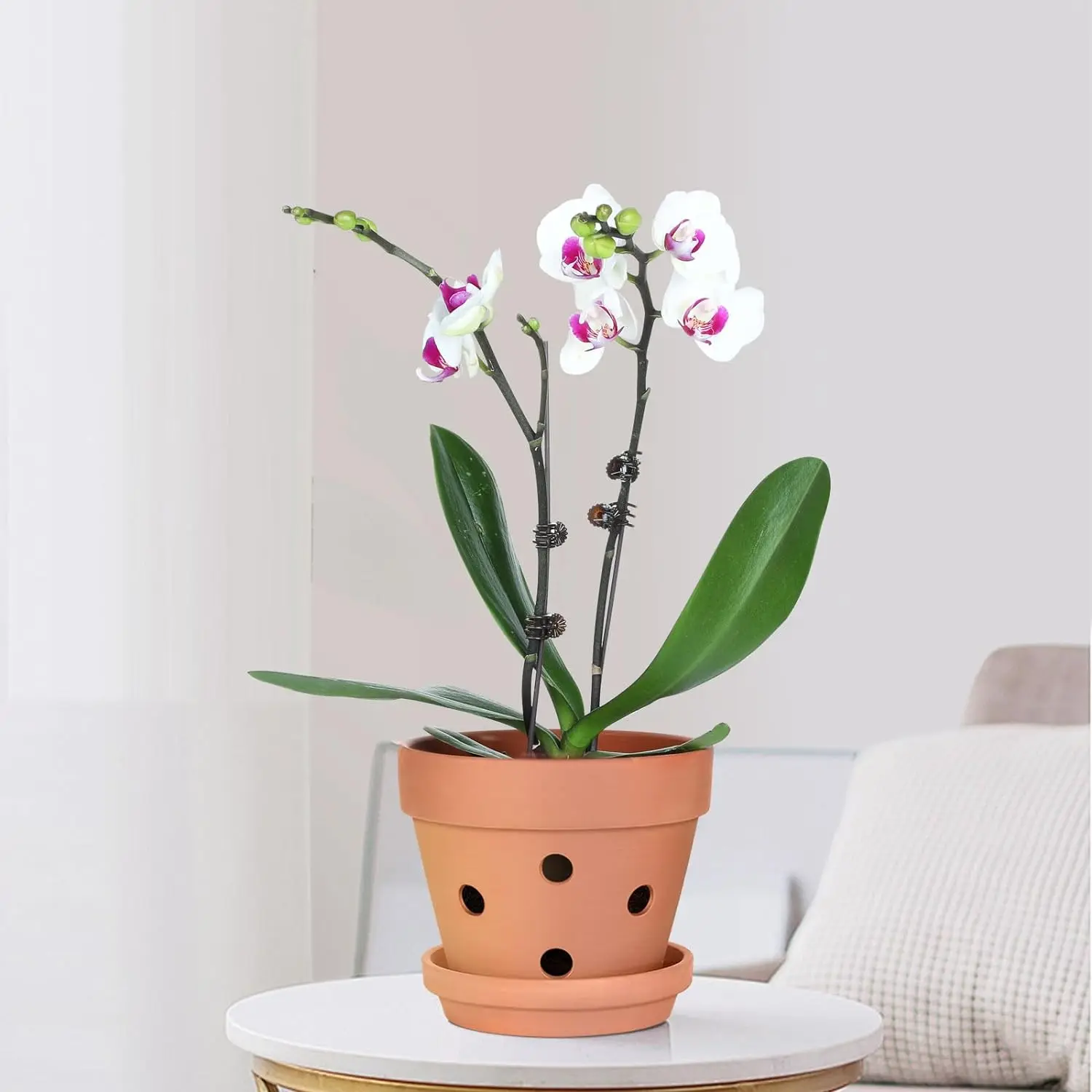 6Pcs 4 Inch Terracotta Orchid Pots with Holes and Saucers - Orchid Planter Pots for Repotting, Plant Flower Pot