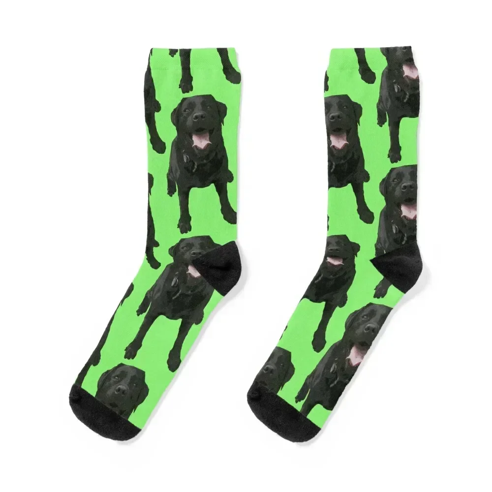 

Black lab, labrador retriever, dog Socks sheer halloween Ladies Socks Men's