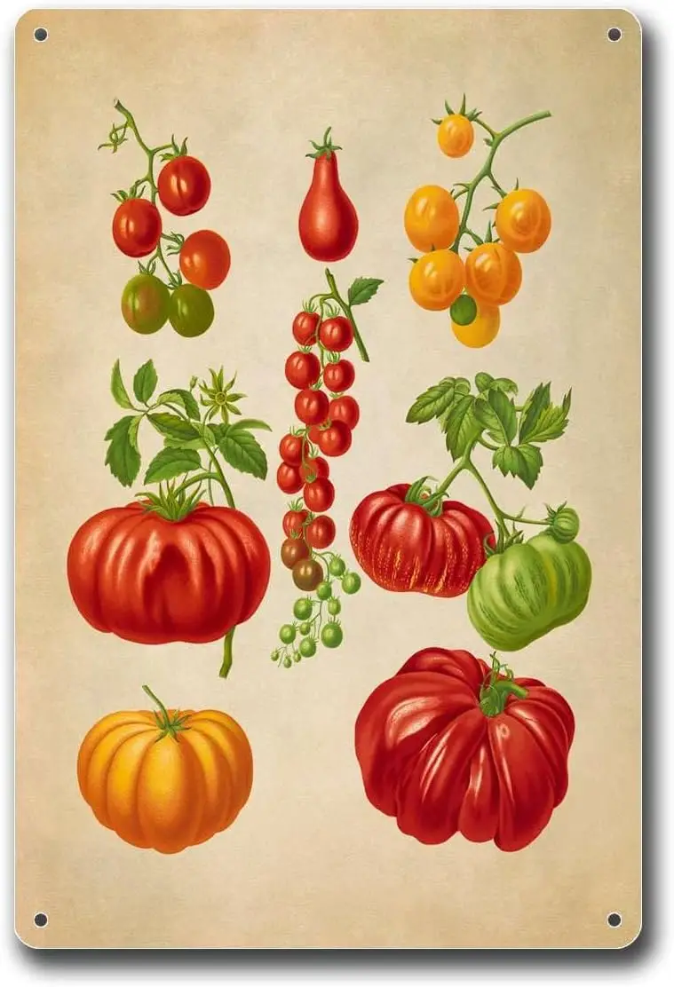 Letreros de hojalata de 8x12 pulgadas, arte de cocina con temática de verduras, variedades de tomate