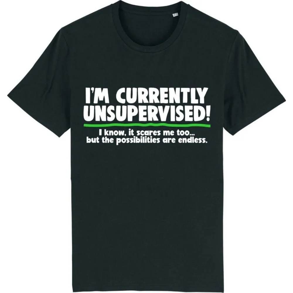 I'm Currently Unsupervised T-shirt Funny Rude Offensive Joke Novelty  Men Clothing Graphic T Shirts Camisetas Vintage T Shirt