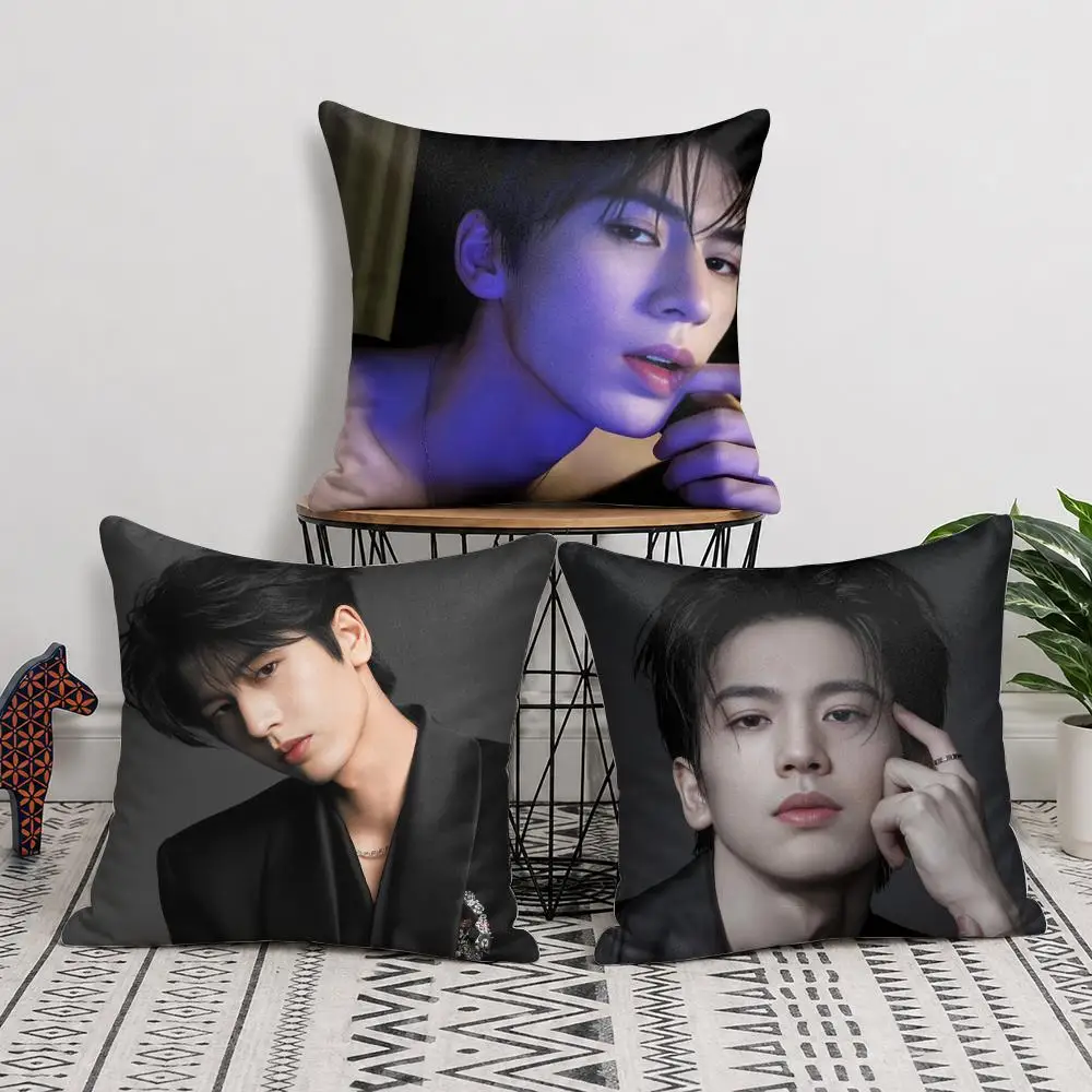 Actor Z-Zhang Linghe Cushion Cover Silky Short Plush Invisible Zipper Dustproof Sofa Pillow Case For Home Decor