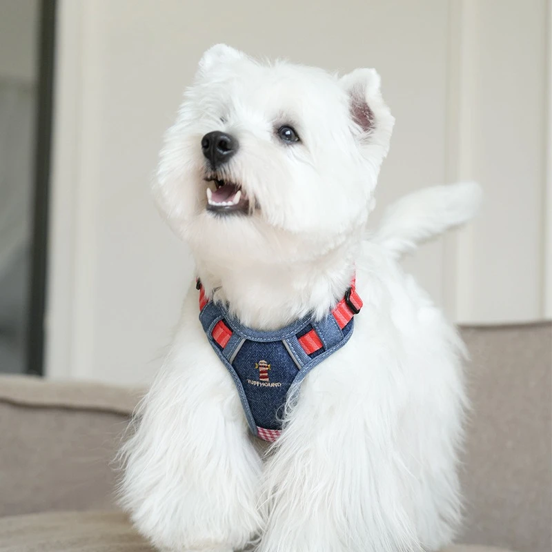 

No-Pull Breathable Dog Harness Vest Leash Chest Strap Pull-Control Walking Rope for Medium Large Dogs Corgi Pet Lead