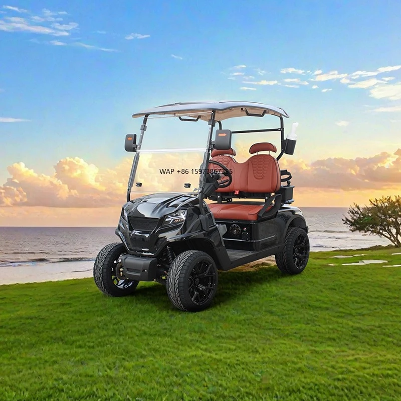 

Customizable 2-Seater Golf Cart 48v Street Legal Electric Golf Cart For Sale