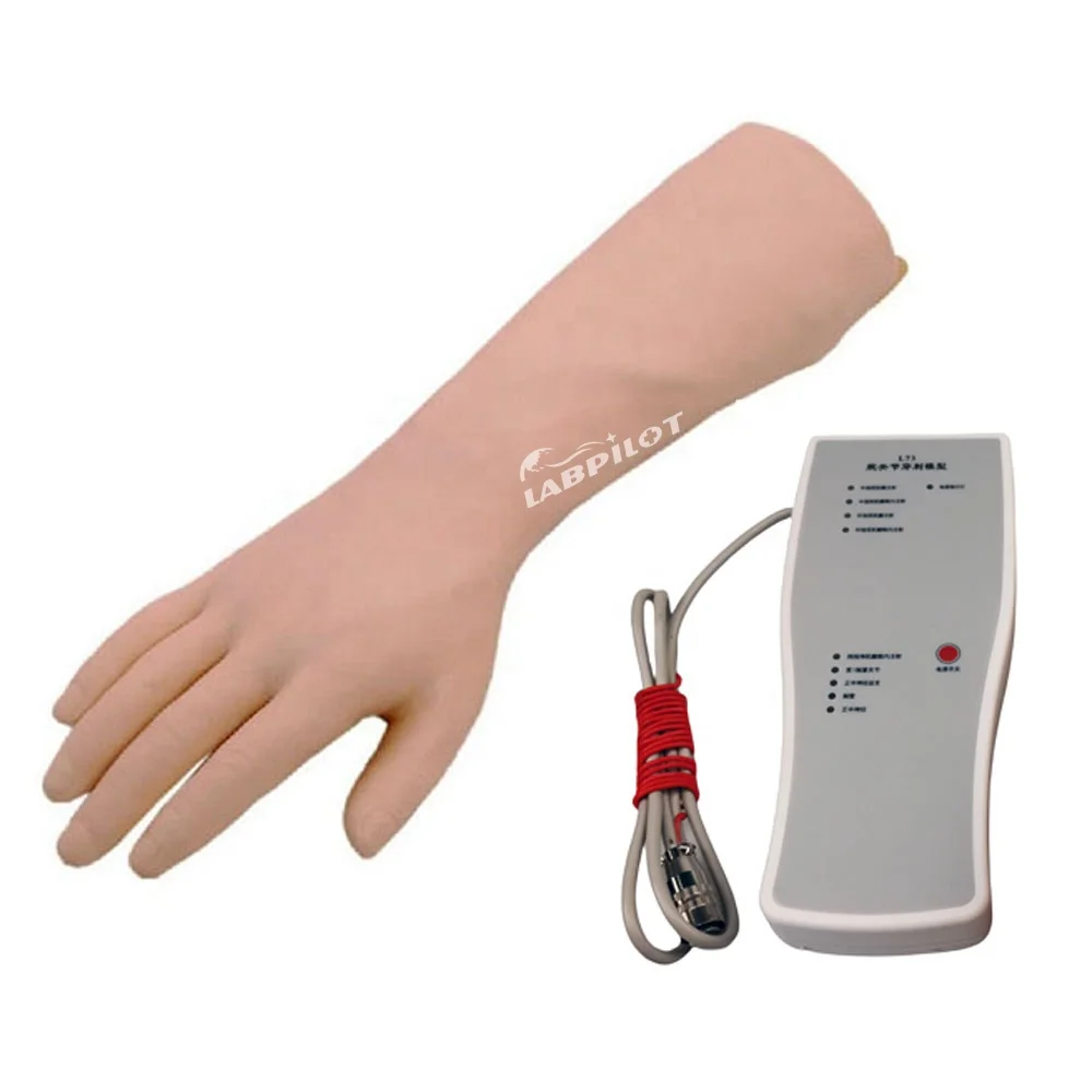 

unique Electronic Wrist Joint Puncture Model Medical Teaching Hand Simulator
