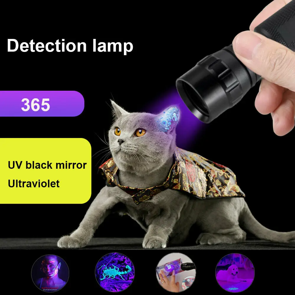 10W 365nm Ultra Violet Light 10W High Power UV Flashlight Black Light Pet Urine Stains Detector Scorpion Hunting Marker Checker