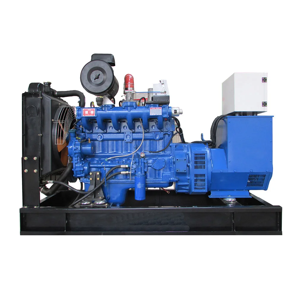 WP10 60kw biogas electric generator